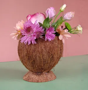 Coconut Vase - Natural and Eco-Friendly