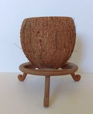 Handmade Coconut Vase with Decorative  Legs