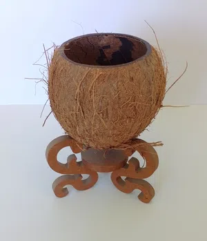 Coconut Vase with Decorative  Legs