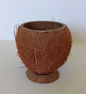 Coconut Vase - Natural and Eco-Friendly