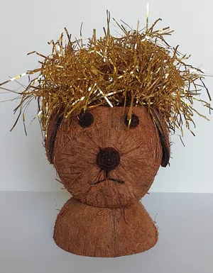 Coconut Hedgehog Decor