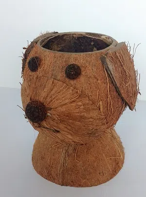 Coconut Hedgehog Decor
